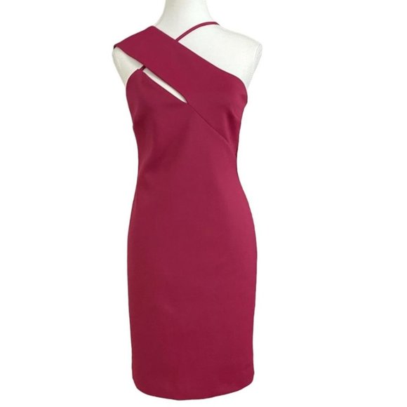 MARCIANO LADY LIKE SCUBA DRESS IN BLUSHING BERRY COLOR